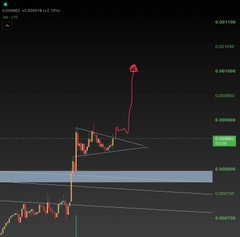 A TradingView chart of $LTC (Litecoin) on the CRYPTO:E1D timeframe shows a sharp price breakout to the upside, with the price spiking toward the 0.001100 level after breaking out of a descending triangle/symmetrical triangle pattern, prompting the trader's anxious "Pray for me" caption in hopes the bullish breakout holds.