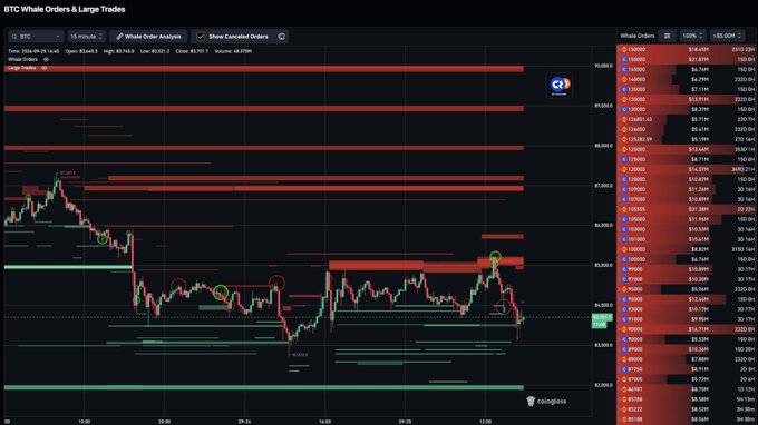 A BTC (Bitcoin) Whale Orders & Large Trades chart on Coinglass showing price action around $85,000 with red sell walls above and green buy walls below.