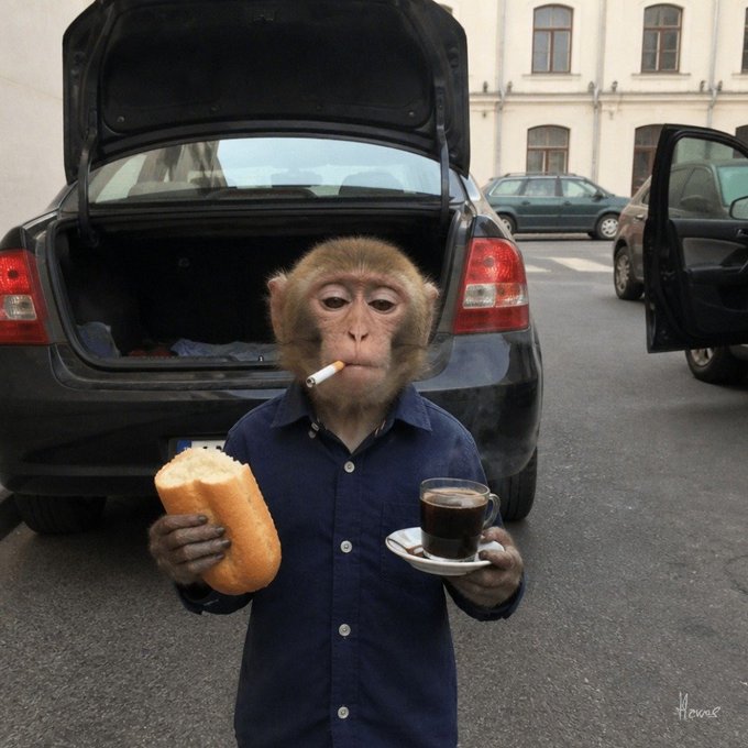 A monkey wearing a blue shirt, smoking a cigarette, and holding a piece of bread and a cup of coffee stands in front of an open car trunk.