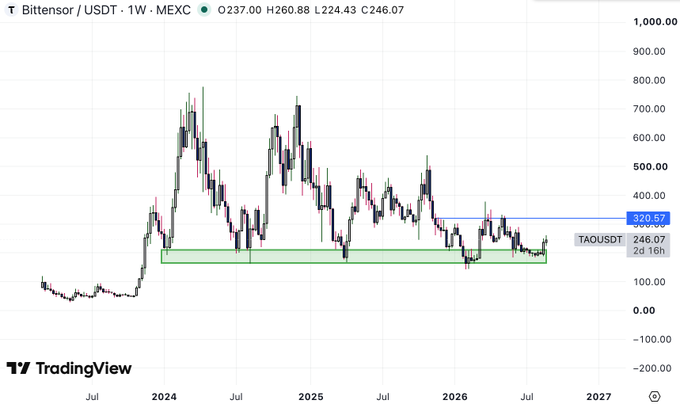 A TradingView weekly candlestick chart for Bittensor / USDT (TAOUSDT) on MEXC, showing price history from mid-2023 to 2027 with current price at 246.07.