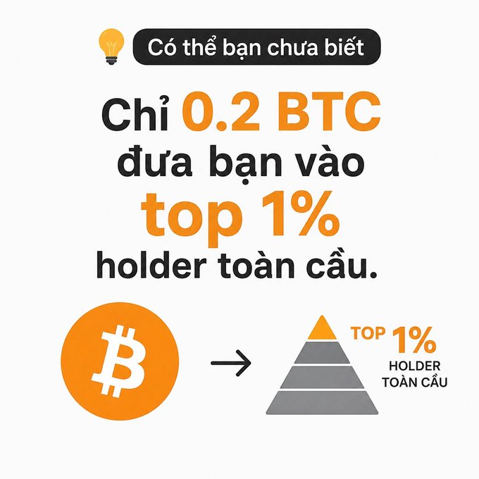 A Vietnamese-language graphic stating 'Có thể bạn chưa biết: Chỉ 0.2 BTC đưa bạn vào top 1% holder toàn cầu' (Did you know: Only 0.2 BTC puts you in the top 1% of global holders), featuring a Bitcoin logo and a pyramid chart.