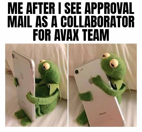 A meme with text 'ME AFTER I SEE APPROVAL MAIL AS A COLLABORATOR FOR AVAX TEAM' showing a Kermit the Frog plush figure hugging a white iPhone.