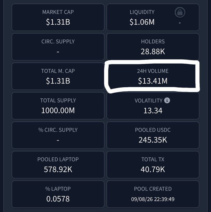 A cryptocurrency statistics dashboard displaying metrics like Market Cap ($1.31B), Liquidity ($1.06M), Holders (28.88K), and Total Supply (1000.00M), with the '24H Volume $13.41M' field circled in white.