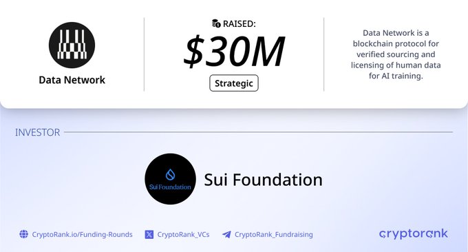 The image shows a CryptoRank funding graphic announcing that Data Network raised $30M in a Strategic funding round from investor Sui Foundation, as a blockchain protocol for verified sourcing and licensing of human data for AI training.