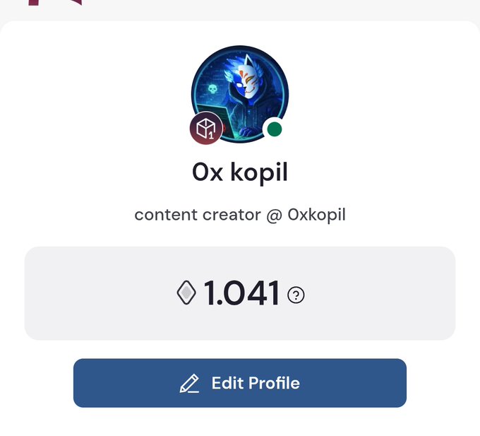 The image is a screenshot of an app interface with a section for editing profile information or profile pictures. The text on this screen reads "ox kopil content creator #oxkopil 1,041". This means that the person who set their profile picture and edited their profile's name also set the number of followers to 1,041.