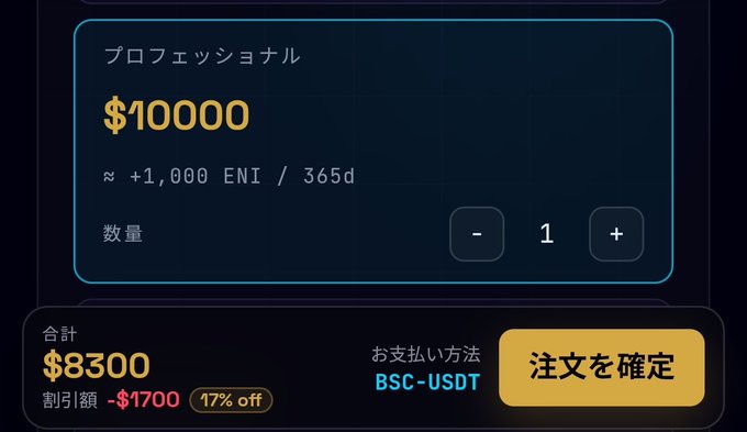 Purchase confirmation screen showing a 'プロフェッショナル' (Professional) plan for '$10000' discounted to '$8300' with a 17% off, payable via 'BSC-USDT'.