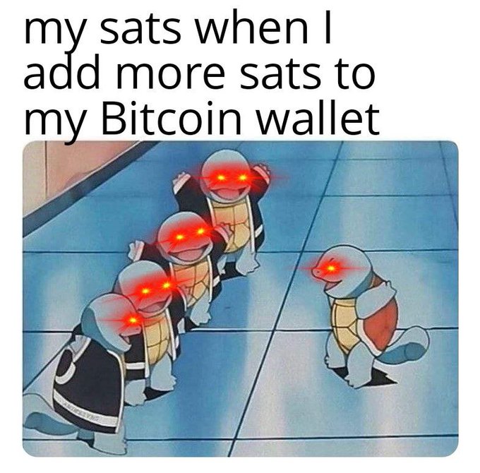 A line of squirtle characters from the anime Pokémon with glowing red eyes menacingly approaches a single squirtle, accompanied by the text "my sats when I add more sats to my Bitcoin wallet." The image humorously illustrates the post's sentiment about stacking sats, depicting the existing sats as aggressive Pokémon surrounding and intimidating the new sat being added.