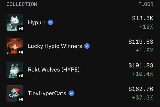 A digital interface listing NFT collections including "Hypurr," "Lucky Hypio Winners," "Rekt Wolves (HYPE)," and "TinyHyperCats" along with their floor prices and percentage gains.
