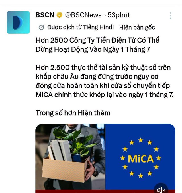A Vietnamese-translated BSC News post about over 2,500 crypto companies potentially shutting down on July 1 due to the EU's MiCA regulation taking full effect, accompanied by a post celebrating "pi2day" and advising viewers to view market lows as buying opportunities rather than focusing on retail prices.