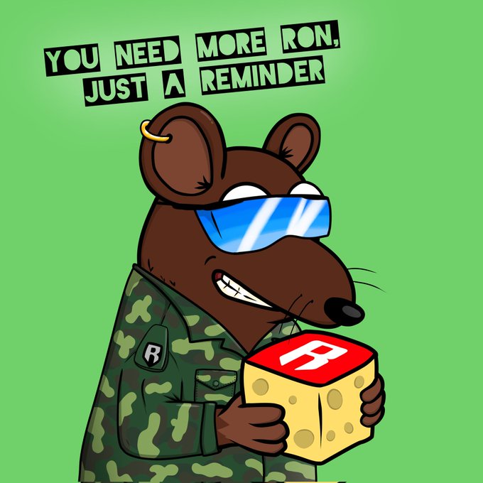 A cartoon illustration of a rat wearing sunglasses and a camouflage jacket with an 'R' patch, holding a block with an 'R' on it, with text reading 'YOU NEED MORE RON, JUST A REMINDER.'