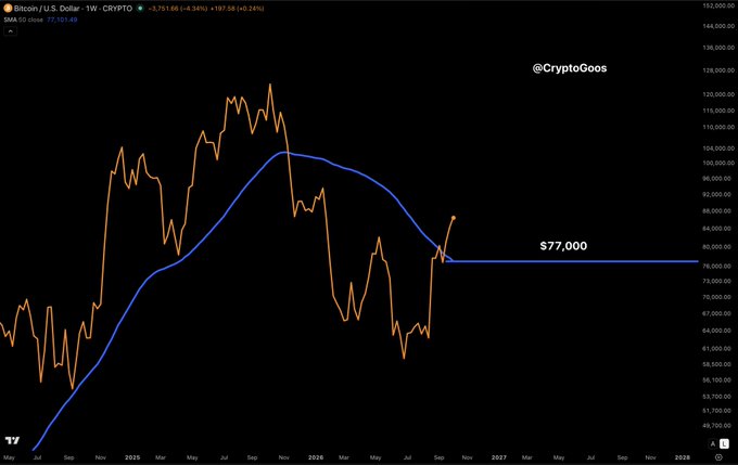 A weekly Bitcoin/USD chart (CRYPTO) shows price action trading just above the blue 50-week simple moving average at $77,000, with the orange line indicating Bitcoin's recent price climbing back toward that key support level after dipping below. The chart visually supports the caption's claim that Bitcoin tends to hold above its 50W MA during bull markets, with current price at $77,107.