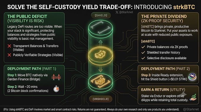 An infographic titled 'SOLVE THE SELF-CUSTODY YIELD TRADE-OFF: INTRODUCING strkBTC', detailing steps for moving BTC via Garden Bridge and earning a return via Endur, labeled with 'PUBLIC DEFICIT' and 'PRIVATE DIVIDEND'.