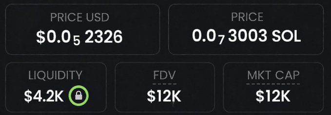A memecoin trading dashboard displays a price of $0.0₅2326 USD (0.0₇3003 SOL), with liquidity at $4.2K (locked), FDV at $12K, and market cap at $12K—suggesting a low-cap micro-cap token that aligns with the post's promotion of another early-stage memecoin call.