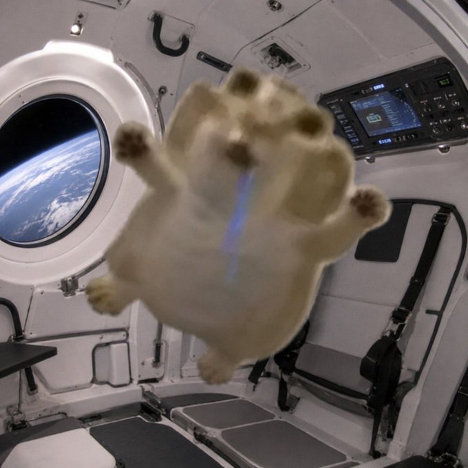 A cat floats weightlessly in zero gravity inside a spacecraft, with Earth visible through a porthole window, accompanied by a digital control panel. The image humorously illustrates the post's reference to the "drooling" market sentiment, with the cat appearing to drool blue fluid as it tumbles through the space station cabin.