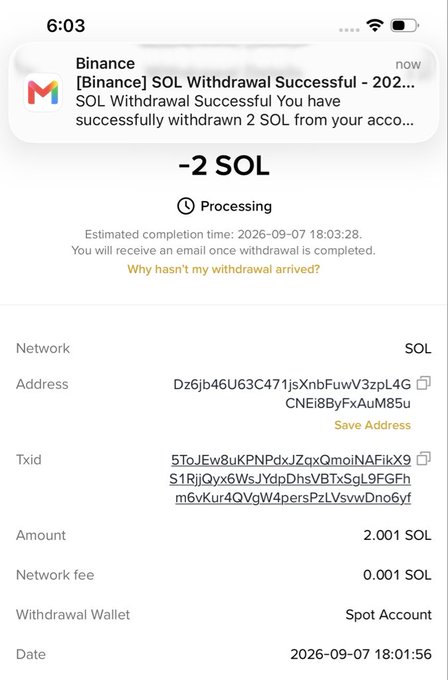A screenshot of a successful Binance withdrawal confirmation showing 2 SOL sent to address Dz6jb46U63C471jsXnbFuwV3zqL4GCNEi8ByFxAuM85u, with a transaction ID starting 5ToJEw8ukPNPdx, supporting the post's claim of sending money to @LeaxyOnchain as part of a giveaway.