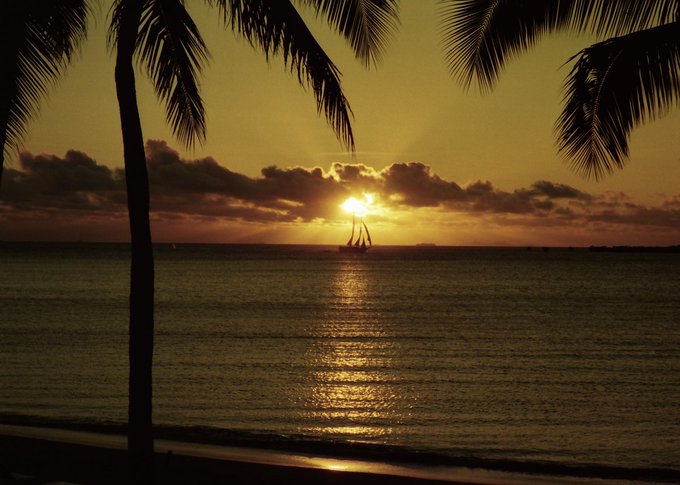 A silhouetted tropical sunset over calm ocean waters, framed by dark palm fronds in the foreground.