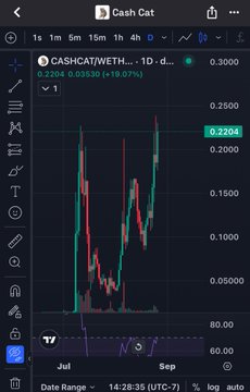 A TradingView chart for the cryptocurrency CASHCAT/WETH showing a candlestick pattern with price around 0.2204 on a 1-day timeframe, displaying a +10.07% change on July 13th.