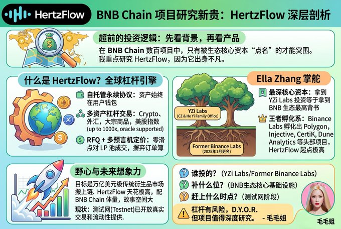 A Chinese-language infographic about HertzFlow on BNB Chain, featuring sections titled '什么是HertzFlow?', 'Ella Zhang 掌舵', and '野心与未来想象力', with a profile photo of '毛毛姐' in the corner.