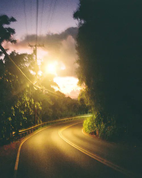 A winding road at sunset or dusk with glowing streetlights illuminating the asphalt as it curves through a tree-lined area, photographed with a vintage or lo-fi aesthetic.
