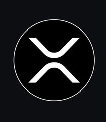 A black image shows the white SpaceX logo centered inside a thin white circle.