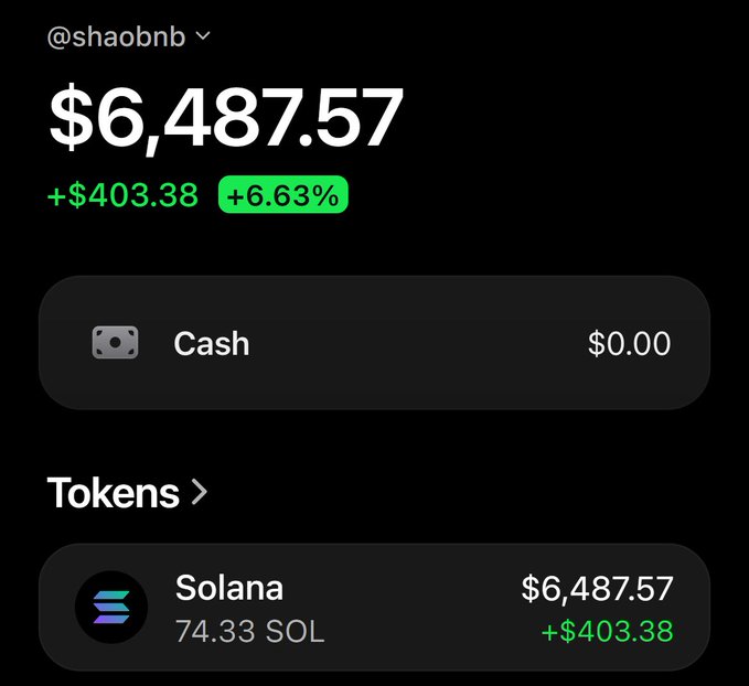 The image shows a crypto wallet portfolio screenshot displaying @shaobnb with a total value of $6,487.57 (+$403.38 or +6.63%), consisting entirely of 74.33 Solana (SOL) tokens worth $6,487.57. The wallet's sole asset is Solana, playfully answering the prompt asking for a Solana address by revealing that their entire portfolio is in SOL.