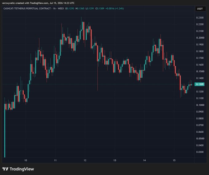 A TradingView candlestick chart of the CASHCAT/TETHERUS PERPETUAL CONTRACT (CASHCAT/USDT) showing hourly price action with a current price of 0.1309, displaying a +1.24% change over the time period.