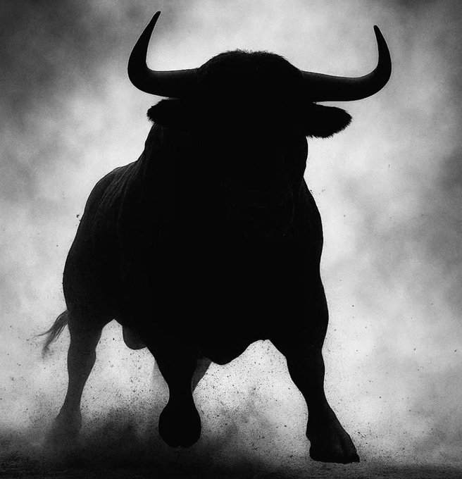 A dramatic silhouette of a powerful bull with large horns stands against a dusty, smoky background, symbolizing strength and upward momentum in financial markets. The image visually reinforces the post's message, portraying $ANSEM holders as bullish champions destined to win in July.
