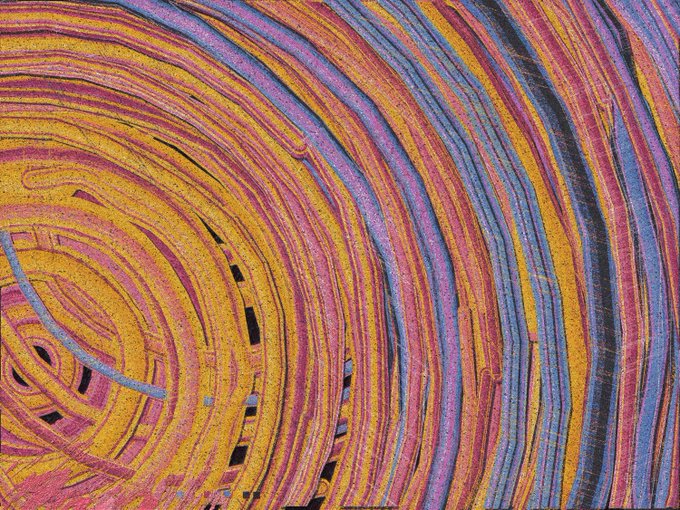 An abstract image showing curved, concentric bands of vivid orange, pink, blue, and black lines creating a swirling, wood-grain-like pattern.