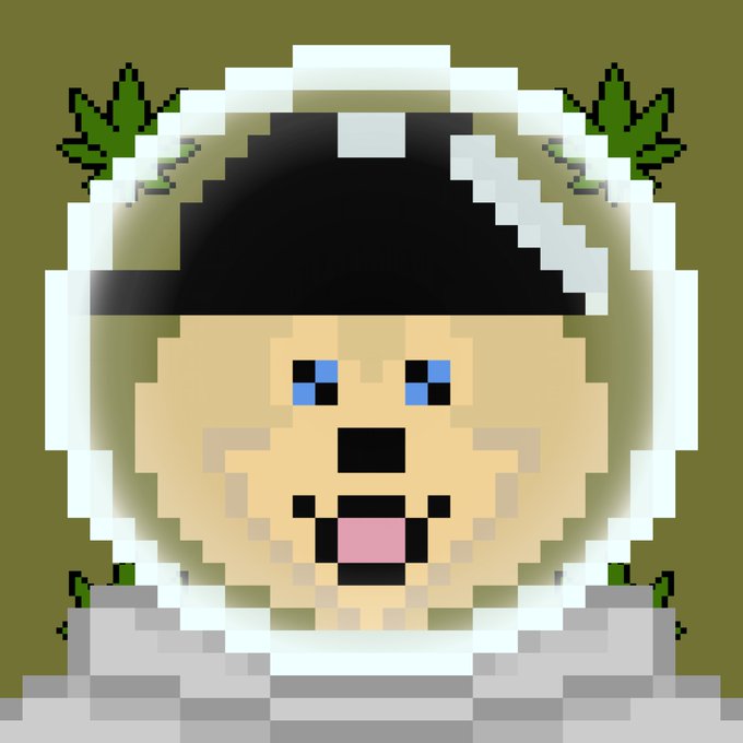 The image features a cartoon-style face of a dog wearing a hat, with its mouth open as if it's speaking or making a funny face for the camera. The background behind the dog appears to be green, possibly representing a garden or outdoor setting. The caption below the image reads "Paaaaamp da GLabs @expatboogie @Jkrobar3 discord.gg/hosky". This suggests that the image is related to a social media post or a conversation about the cartoon-style dog and its hat, possibly on platforms like Instagram or Twitter.