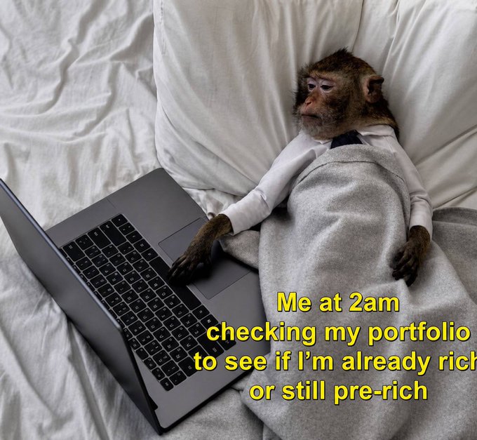 Meme of a monkey in business attire using a laptop in bed with text 'Me at 2am checking my portfolio to see if I'm already rich or still pre-rich'.