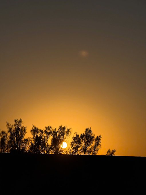 A silhouette of trees against a warm orange and yellow sunset sky, with the sun visible just above the horizon.