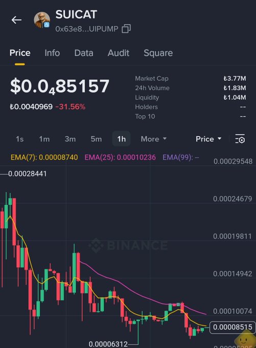 A Binance cryptocurrency chart for SUICAT (0x63e8...UIPUMP) showing a price of $0.0485157, down 31.56%, with a declining candlestick pattern.