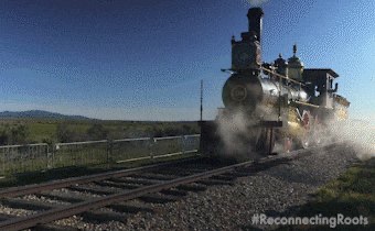 An old-fashioned black steam locomotive travels along railroad tracks through a grassy landscape under a clear blue sky, with the hashtag '#ReconnectingRoots' visible.