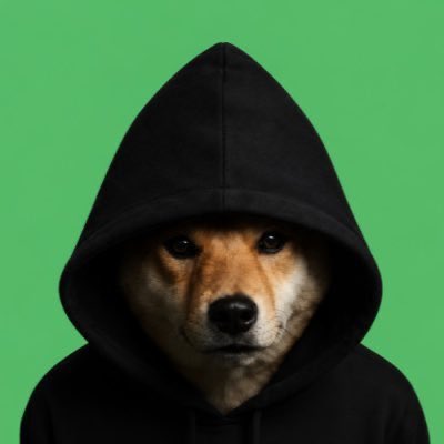 A Shiba Inu dog wears a black hoodie against a bright green background, with a serious expression.