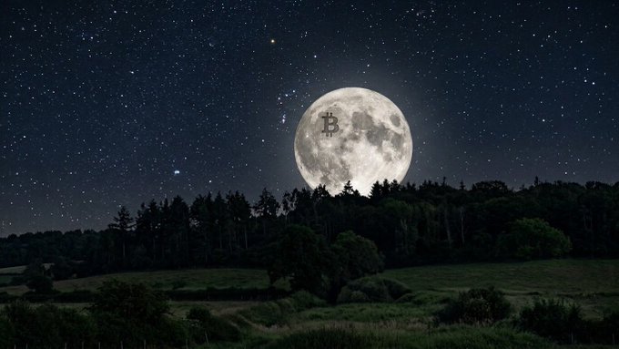 A night scene of a full moon over a forest silhouette, with a Bitcoin symbol overlaid on the moon's surface.
