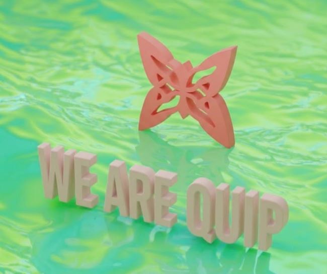 A 3D-rendered scene features white block text reading 'WE ARE QUIP' in front of a pink butterfly shape, set against a rippled green water background.