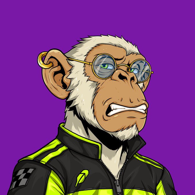 A cartoon illustration of a grumpy-looking chimpanzee wearing glasses and a black and neon yellow racing-style jacket against a purple background.
