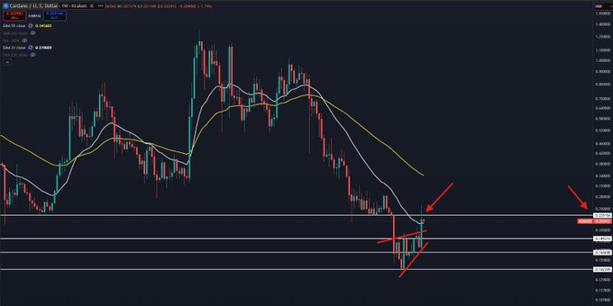 A candlestick chart of Cardano (ADA/USD) showing price action squeezed between key resistance levels around $0.26-$0.28, with red arrows highlighting a potential breakdown point and moving averages indicating bearish momentum. The chart visually supports the analysis of ADA being compressed between the weekly 21EMA and previous support floor, suggesting a possible drop to the 19¢ level.