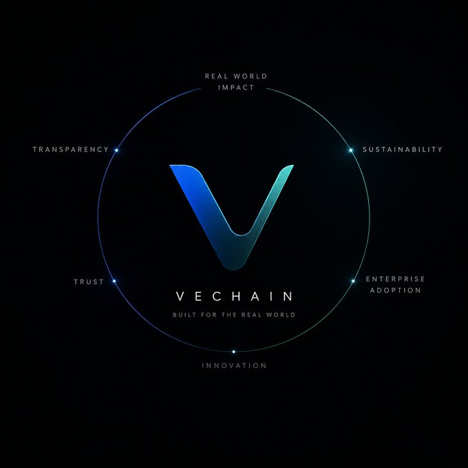 VeChain logo graphic with the text 'VECHAIN BUILT FOR THE REAL WORLD' surrounded by the words 'REAL WORLD IMPACT,' 'SUSTAINABILITY,' 'ENTERPRISE ADOPTION,' 'INNOVATION,' 'TRUST,' and 'TRANSPARENCY.'