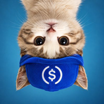 An upside-down kitten wears a blue mask displaying a USDC ($) logo, perfectly illustrating the "UpSideDownCat $USDC" pun as the mascot for ARC in a playful lineup of blockchain-themed cat tokens.