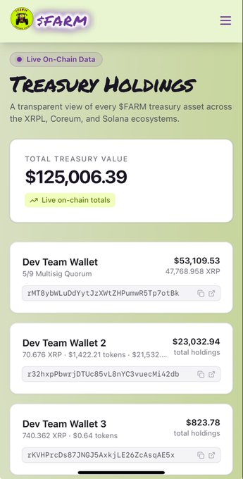 The image shows the $FARM Treasury Holdings dashboard displaying a transparent view of treasury assets across XRPL, Coreum, and Solana ecosystems, with a total treasury value of $125,006.39 split across three dev team wallets containing 47,768.958 XRP and various tokens.

The caption visually reinforces the post's message of "people will realize what we're building one day" by showcasing the tangible, on-chain proof of the project's growing treasury and multi-chain asset holdings.