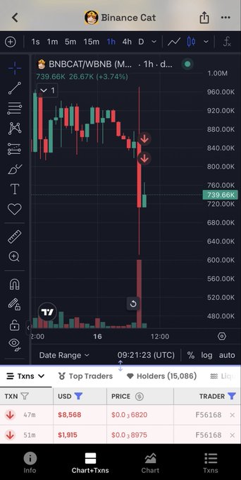 A TradingView chart of Binance Cat (BNBCAT/WBNB) on the 1-hour timeframe shows the token's price dropping from 920K to 739.66K, down 26.67% (-3.74%), with recent transactions totaling $8,568 and $1,915 in USD—illustrating the whale sell-off that pushed the price below the 800-900K support level.