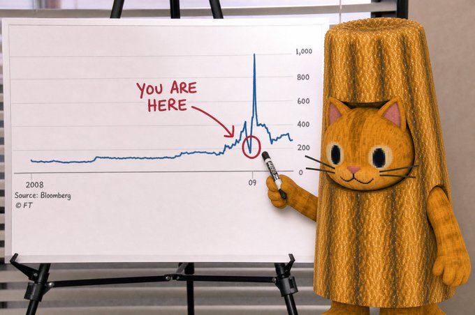 A humorous image showing a cat dressed as a wooden log pointing to a financial chart with the text 'YOU ARE HERE' circled at the 2009 mark, sourced from Bloomberg and credited to FT.