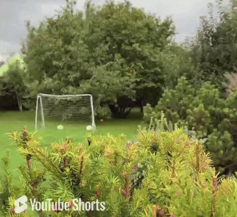 The image features a soccer field with two white soccer balls placed near each other. The background includes trees and bushes, creating an outdoor setting for playing soccer. A caption below the image reads "seeing @ethereum Joseph in the front page is just a confirmation that people will only burn funds in this and get nothing in return fellow e-begoors, steer clear lmao". This message seems to be related to the post about Bitcoin or cryptocurrency, as it suggests caution against investing in such digital assets.