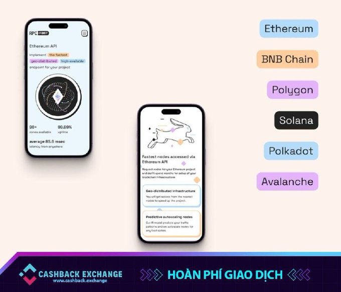 The image shows two cell phones side by side, both displaying different apps. The phone on the left has a white background with black text that says "Ethereum" and "BNB Chain", while the phone on the right has a pink background with black text that says "Solana" and "Pokadot". These descriptions provide context about the content displayed on each phone, helping viewers understand what they are seeing.