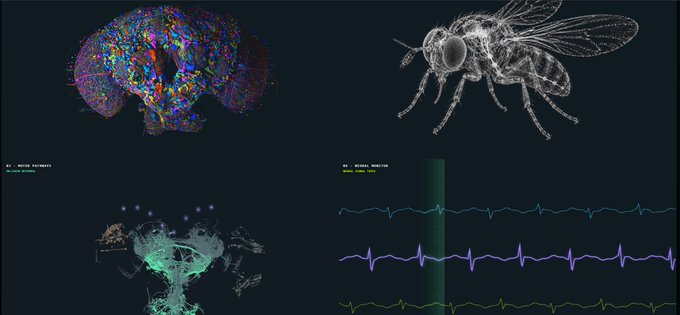 A scientific visualization display showing a colorful neural brain map on the top left, a white fly on the top right, a green-tinted organism with neural traces on the bottom left, and multi-colored electrophysiological signal traces (heartbeat/neural activity) on the bottom right.