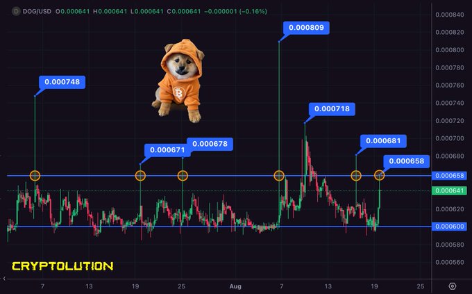 A DOG/USD cryptocurrency price chart shows various price points (0.000748, 0.000671, 0.000678, 0.000809, 0.000718, 0.000681, 0.000658) with a Shiba Inu dog wearing an orange hoodie superimposed on it, branded as 'CRYPTOLUTION'.
