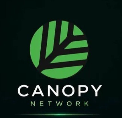 The image features a logo for a company called "Canopy Network" that specializes in simplifying the process of creating and scaling blockchain ecosystems. The logo consists of a green circle with black lines, which represents the leafy part of a tree. Beneath this design is the word "CNPY", indicating the company's name or brand. Below the word "CNPY", there are two phrases: "Good evening & Good night @CNPYNetwork" and "Bullish @CNPYNetwork". These phrases describe the company's services, suggesting that they provide solutions for blockchain projects during both day and night hours.