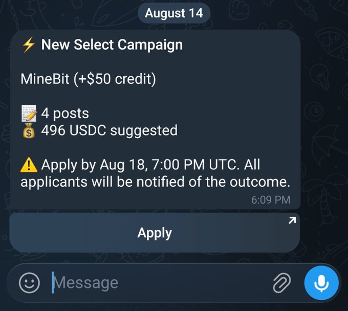 A Telegram message from "MineBit" advertises a new "Select Campaign" offering $50 credit, requiring 4 posts with $496 USDC suggested payout, and an application deadline of August 18 at 7:00 PM UTC. The post context criticizes Wallchain projects as gambling, which aligns with the image showing a high-stakes, application-based crypto campaign that resembles a risky bet on approval and payment.