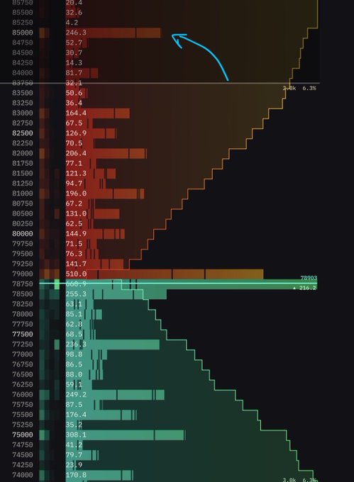 The image shows a Bitcoin order book heatmap displaying ask (red) and bid (green) orders, with visible price levels ranging from approximately $74,000 to $85,750. The posted caption highlights that there is no significant sell wall until the $85,000 level, while showing notable buy liquidity around $78,903 with 216.2 BTC—a level indicated by a blue hand-drawn arrow.